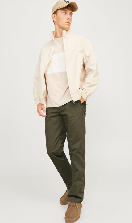 Actual product image Jack & Jones Jpstkane Jjotis Chino (27)