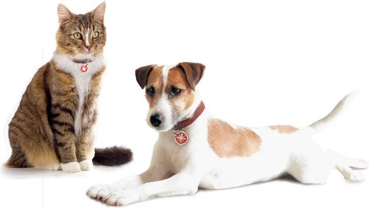Actual product image Anibio Tic-Clip (Dog, Cat)