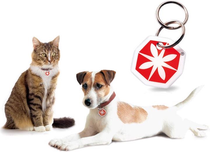 Actual product image Anibio Tic-Clip (Dog, Cat)