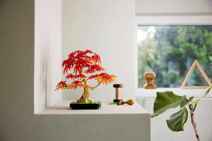 Immagine prodotto LEGO Japanischer Roter Ahorn - Bonsai-Baum (10348, LEGO Botanical)