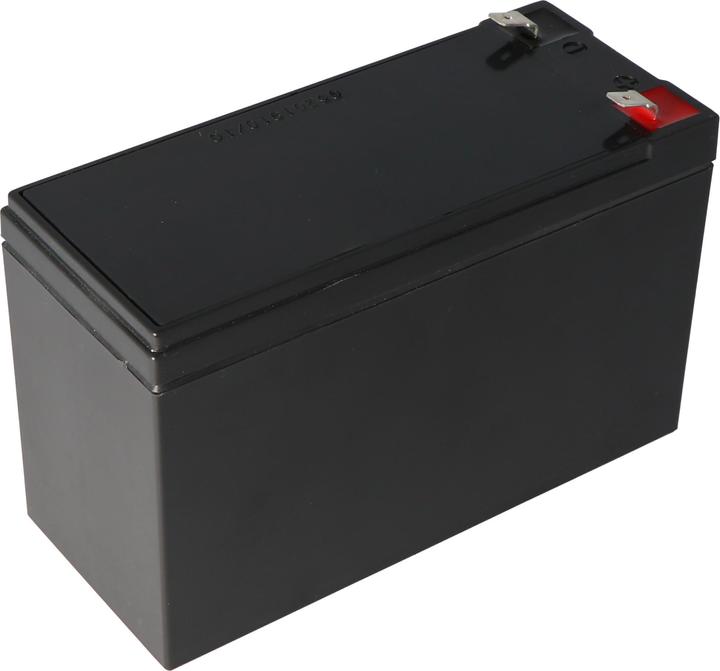 Immagine prodotto Fiamm Batteria FGH20902 versione resistente alle alte correnti (12 V, 9 Ah)