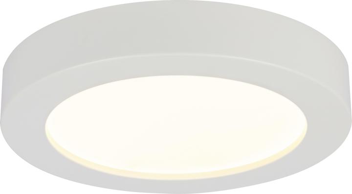 Image du produit Globo Plafonnier Paula (900 lm)