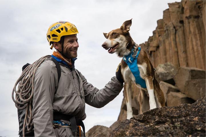 Actual product image Ruffwear Flagline dog harness (XS, Dog)
