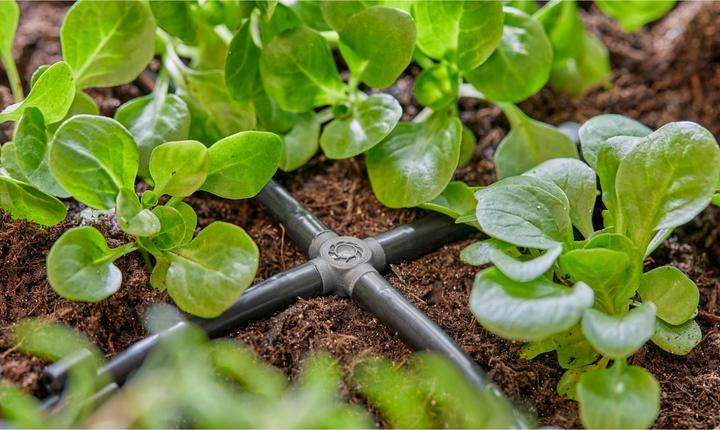 Actual product image Gardena Micro-Drip system cross piece (Drip irrigation connector + branch)