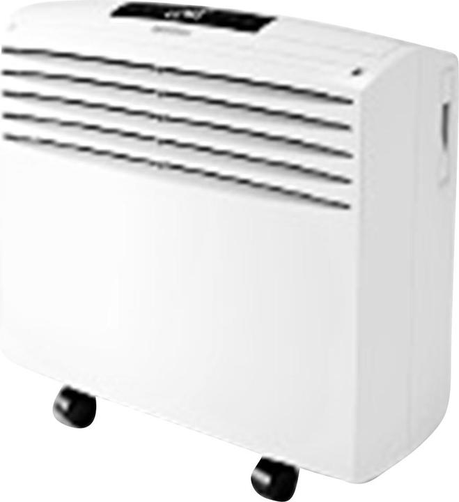 Olimpia Splendid Dolceclima Easy 10 P (8189.14 BTU/h)
