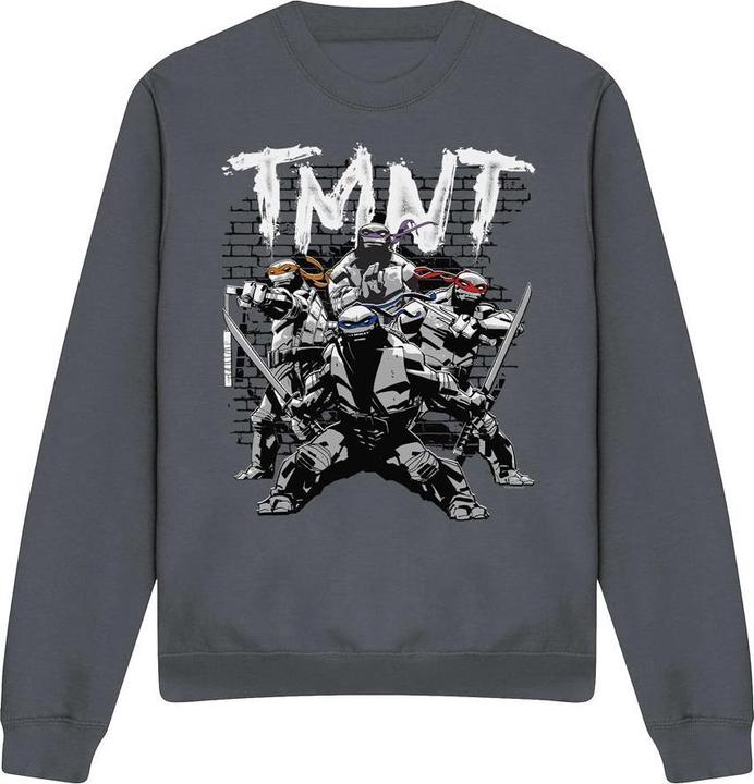 Teenage Mutant NT TMNT Team Sweatshirt