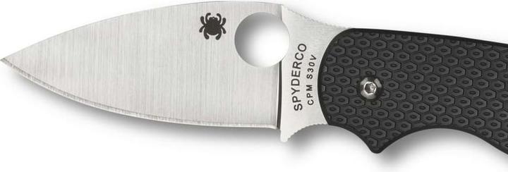 Image du produit Spyderco Sage 5 FRN (7.60 cm)