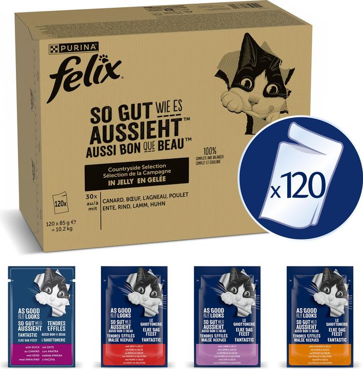 Image du produit Felix Aussi bon qu'il y paraît (Adulte, 120 pcs, 10200 g)