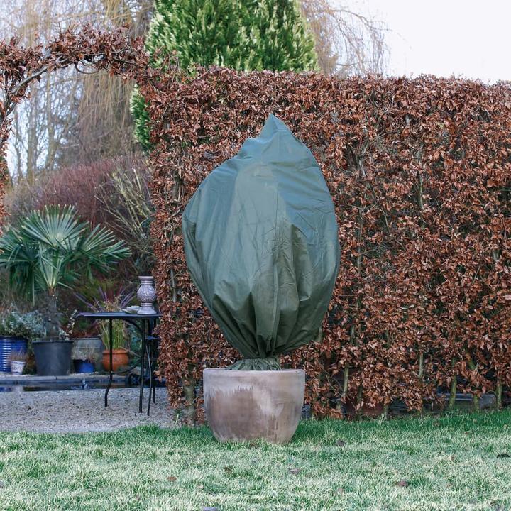 Image du produit Nature Wintervlies-Frostschutzhaube 3 Stk. 50 g/m² 100x50 cm Grün