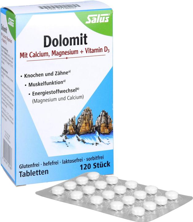 Produktbild Salus Dolomit Magnesium Calcium Vitamin D3 Tabl (120 Stück, Tabletten, 113 g)