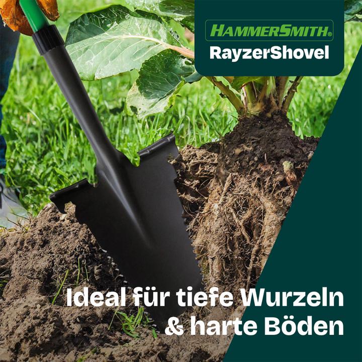 Actual product image MediaShop Rayzer