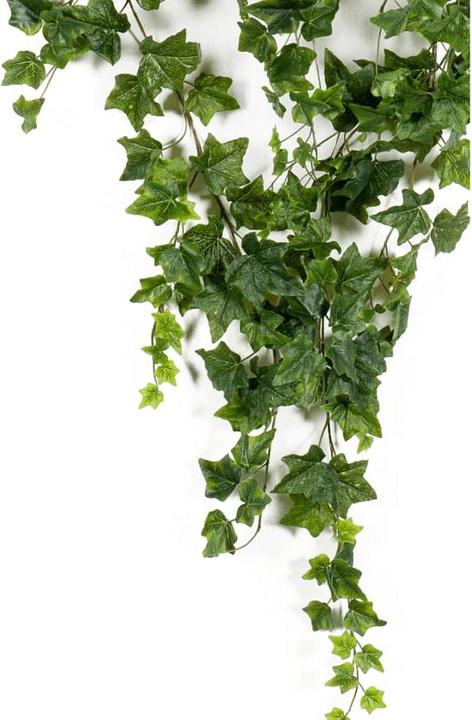 Immagine prodotto Emerald Pianta artificiale (180 cm)
