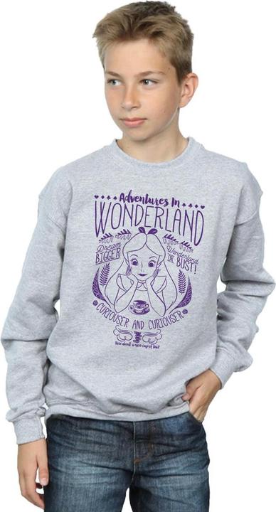 Produktbild Disney Sweatshirt Jungen Alice im Wunderland Abenteuer (152, 158)