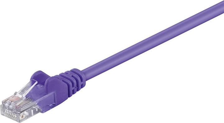 Violet