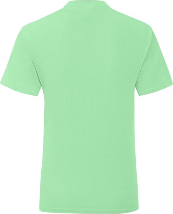 Immagine prodotto Fruit of the Loom UTBC4751 P (104)