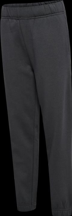Image du produit hummel hmlALVIN PANTS (104)