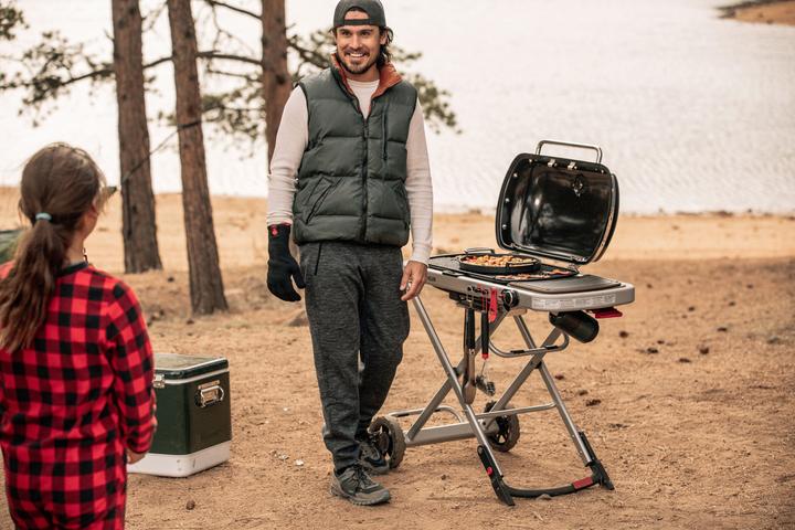Immagine prodotto Weber Viaggiatore (3.80 kW)