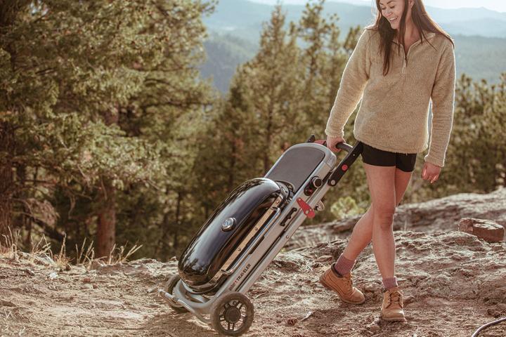 Immagine prodotto Weber Viaggiatore (3.80 kW)
