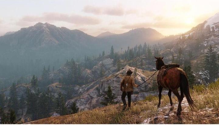Actual product image Rockstar Red Dead Redemption 2 (PS4, DE)