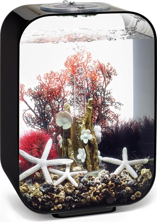 Actual product image Oase biOrb Aquarium 15 Decor Set (Embellishment, other items)