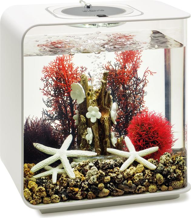 Actual product image Oase biOrb Aquarium 15 Decor Set (Embellishment, other items)