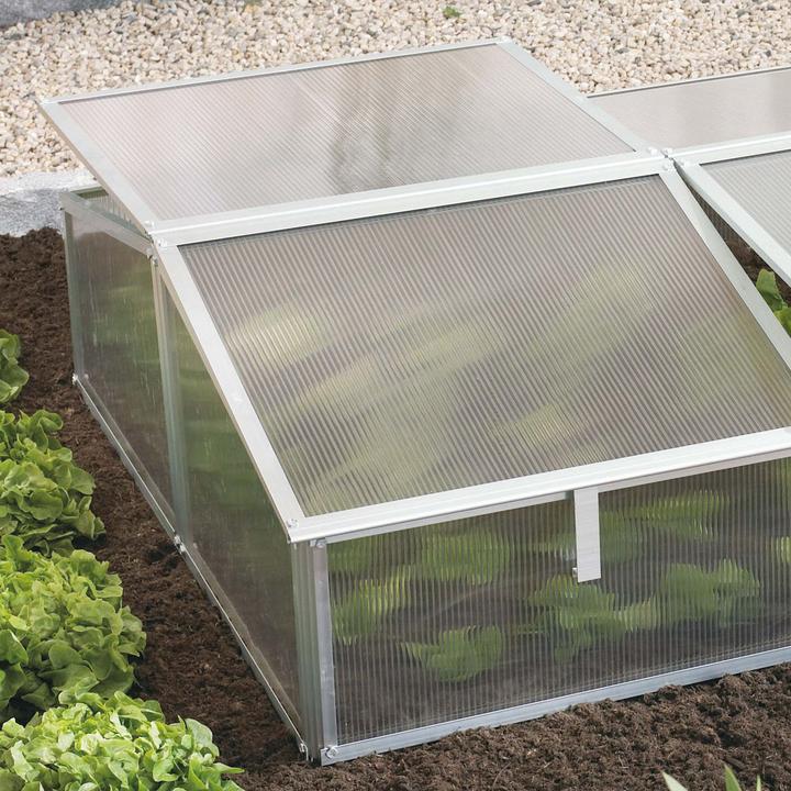 Actual product image Vitavia Gaia