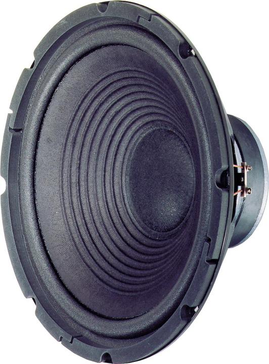 Immagine prodotto Visaton W 300 Woofer HiFi, 8 Ohm