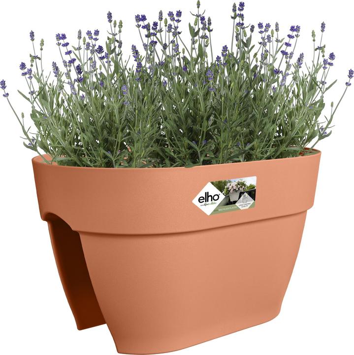 Actual product image Elho Vibia Campana Flower Bridge (26 cm)