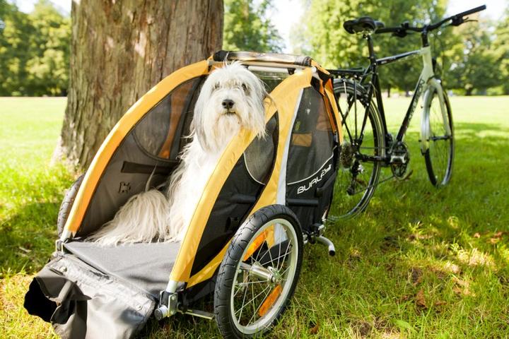 Actual product image Burley tail wagon