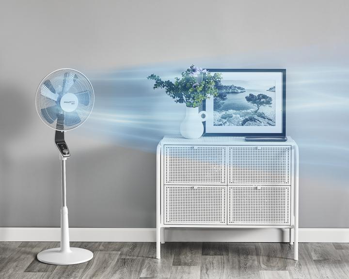Actual product image Rowenta Turbo Silence Extreme (45 dB)