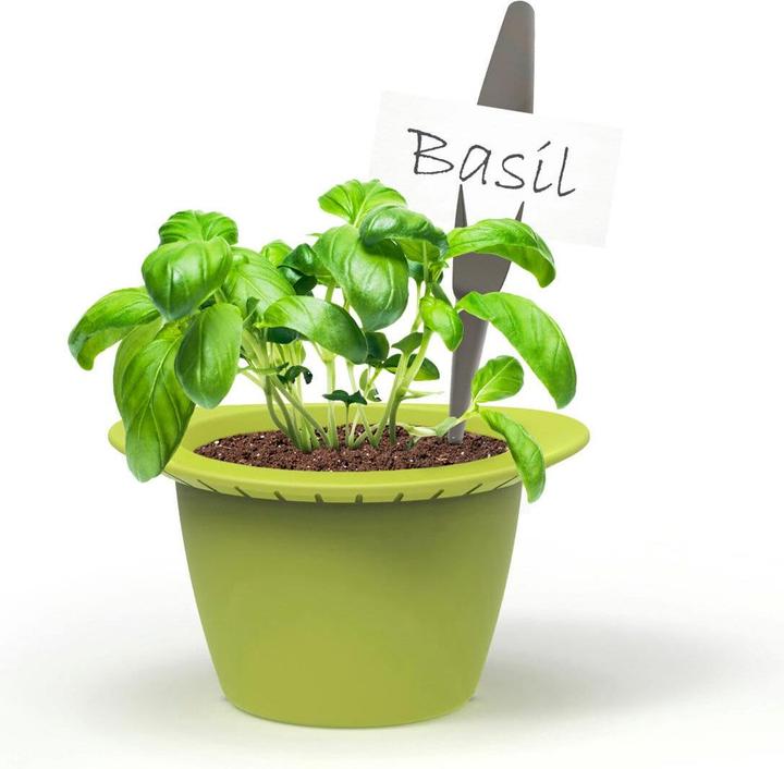 Actual product image Romberg Mini plant pot set