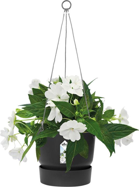 Image du produit Elho Greenville (23.50 cm)