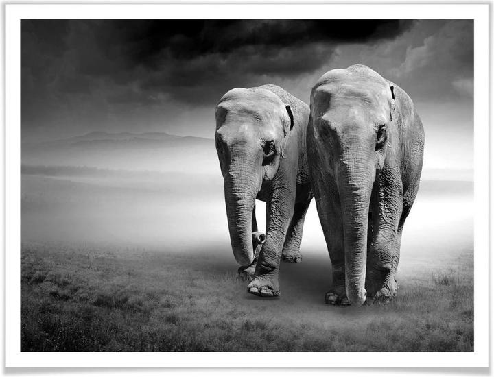 Image du produit Trenddeko Les éléphants (40 x 30 cm)