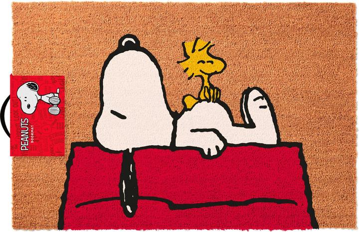 Produktbild Erik Die Peanuts - Schlafen auf dem Dach (60 x 40 cm)