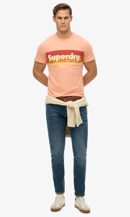 Actual product image Superdry Terrain Logo Stripe Relxed Tee (S)