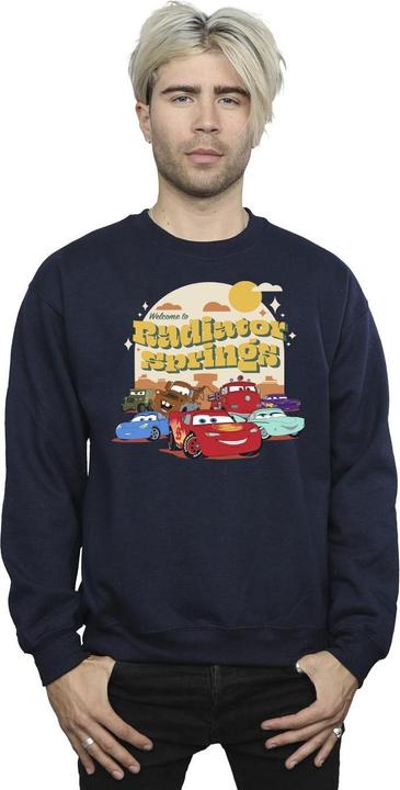 Produktbild Disney Cars Radiator Springs Group Sweatshirt (M)