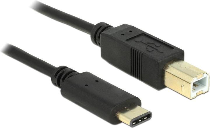 Delock USB Kabel (0.50 m, USB 2.0)