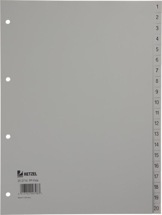 Actual product image Rexel Plastic register for A4