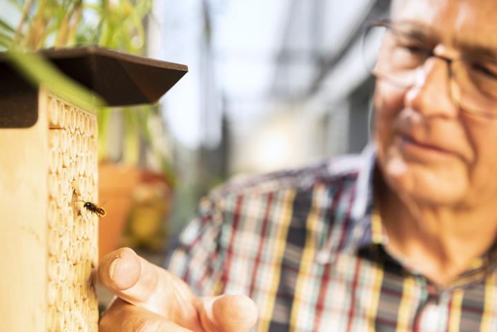 Immagine prodotto Wildbiene BeeHome One (Api)
