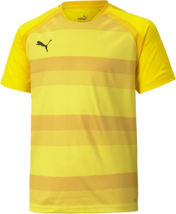 Actual product image Puma teamVISION Jersey Jr-704928 (176)