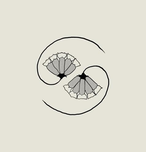 G D/'S PEE AT STATE/'S END! (180gLP+10/") (Godspeed You! Black Emperor, 2021)