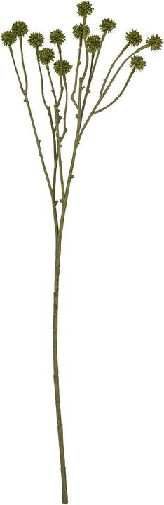 Actual product image Hill Interiors Craspedia Artificial Plant (60 cm)