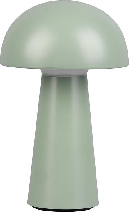 Actual product image Trio Lennon (180 lm)