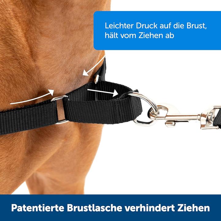 Produktbild PetSafe Easy Walk Geschirr (L, Hund, Spazieren)