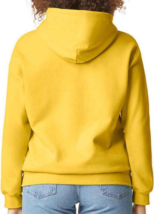Image du produit Gildan - Sweat à capuche SOFTSTYLE - Adulte (S)