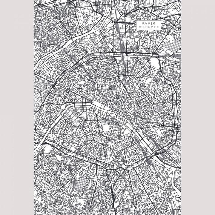 Image du produit Trenddeko Plan de la ville de Paris (192 x 260 cm)