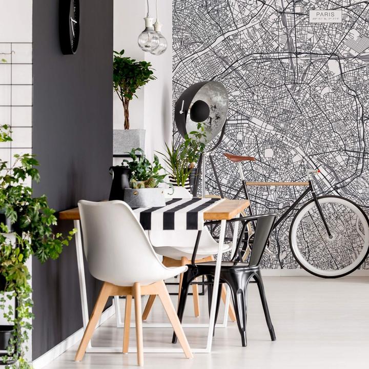 Image du produit Trenddeko Plan de la ville de Paris (192 x 260 cm)