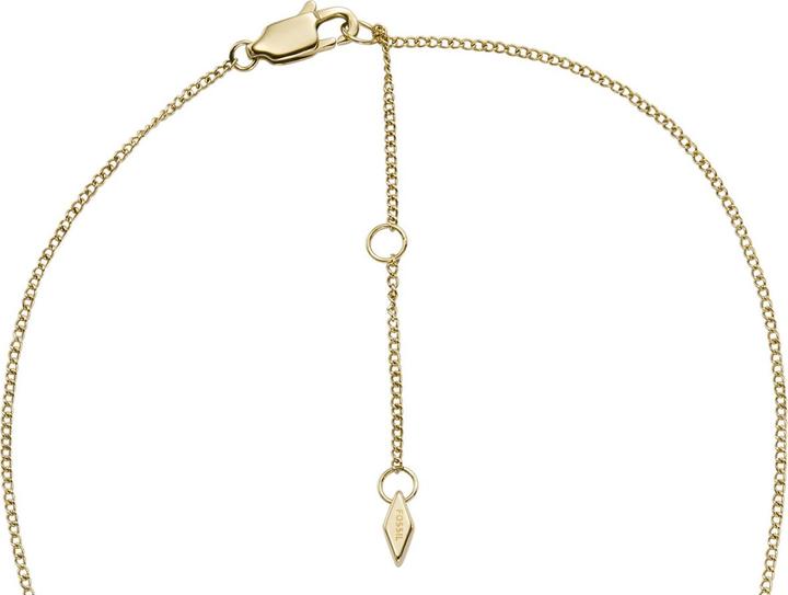 Produktbild Fossil Heritage Halskette (Edelstahl)