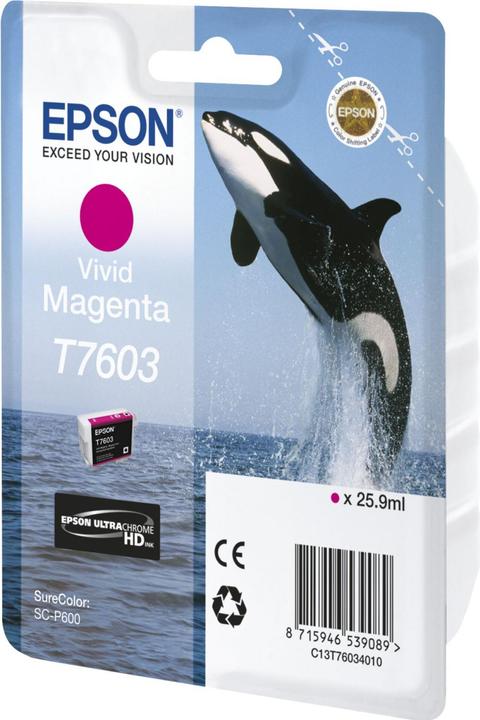 Image du produit Epson T7603, Ultra Chrome HD (M)