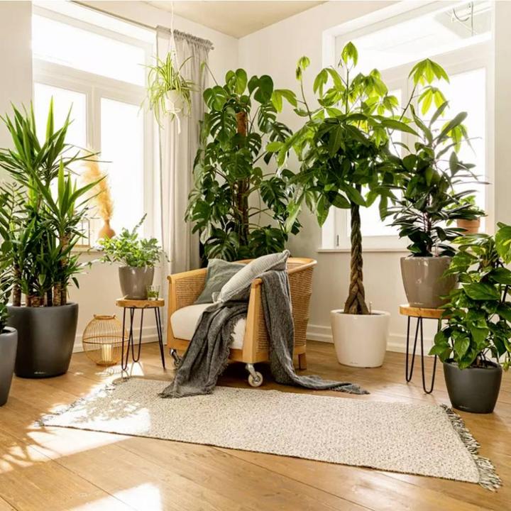 Produktbild Lechuza Classico (28.50 cm)